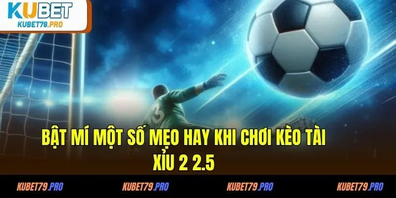 Kèo Tài Xỉu 2 2.5 Là Gì - Cách Tính Kèo Và Mẹo Chơi 4 Bật mí một số mẹo hay khi chơi kèo tài xỉu 2 2.5 là gì
